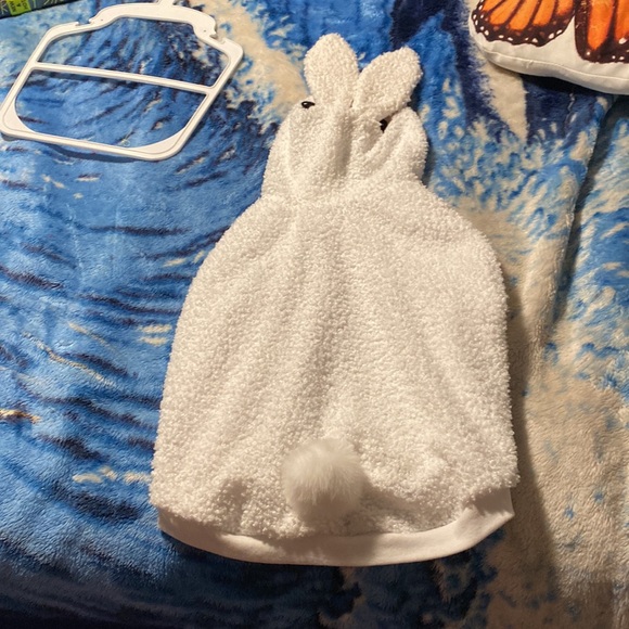 Cat/Small Dog | Bunny Costume 🐰 - Picture 4 of 4